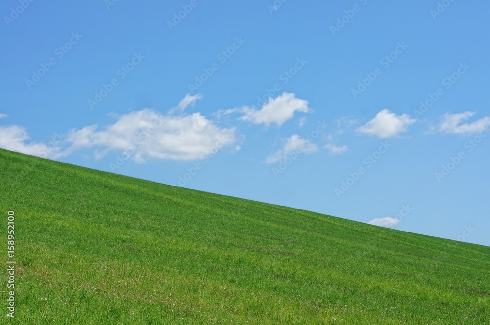 Grass horizon