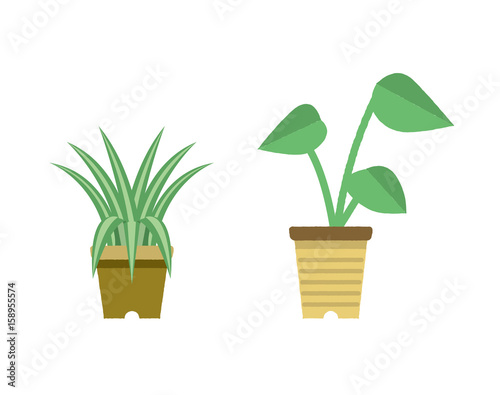 観葉植物　セット