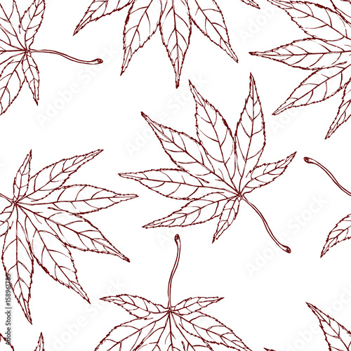 Nice seamless pattern made of hand drawn japanese maple leaves.