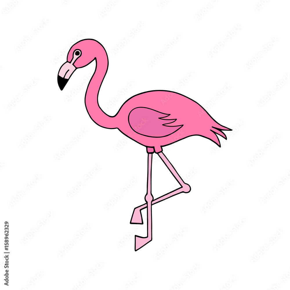 Drawing bird flamingo Royalty Free Vector Image