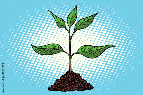green sprout in the ground