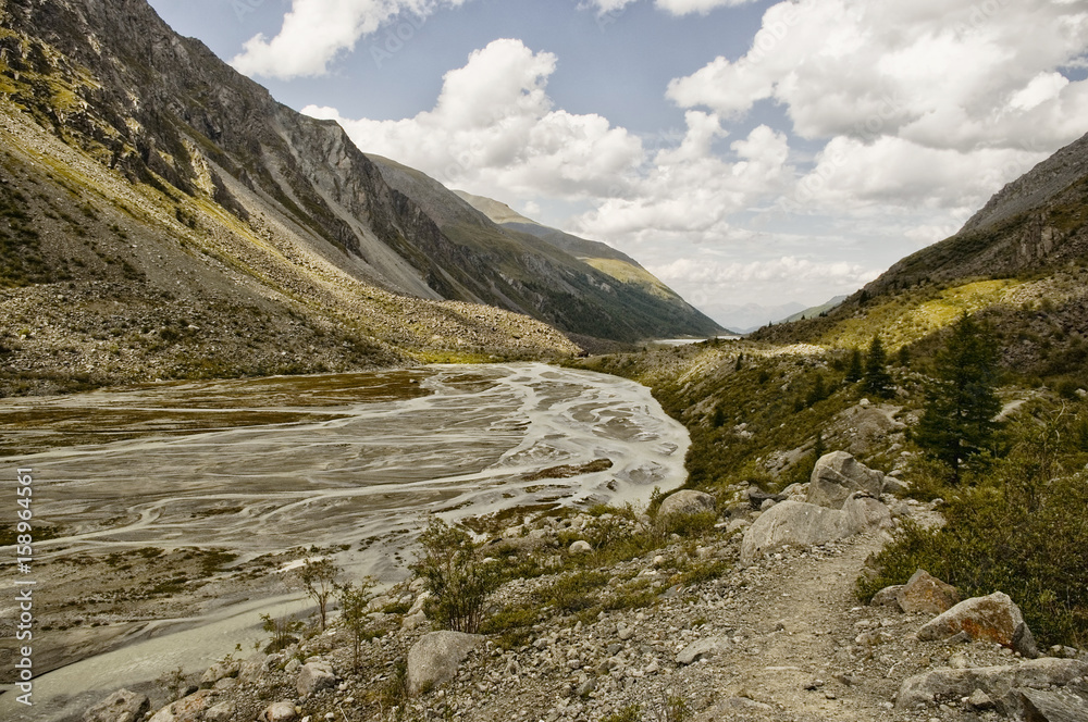 Fototapeta premium Altai. Mountain turbulent river flows among the trees. In the distance the mountains. Neighborhood Belugas, photo made in the campaign, in the summer, Russia.