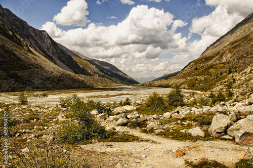 Altai. Mountain turbulent river flows among the trees. In the distance the mountains. Neighborhood Belugas, photo made in the campaign, in the summer, Russia.