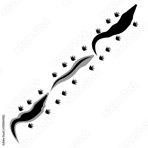 Crocodiles footprints. Abstract concept. Flat design. Vector illustration on white background.