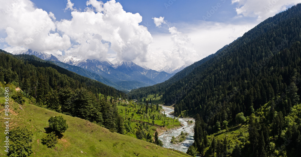 Himachal View