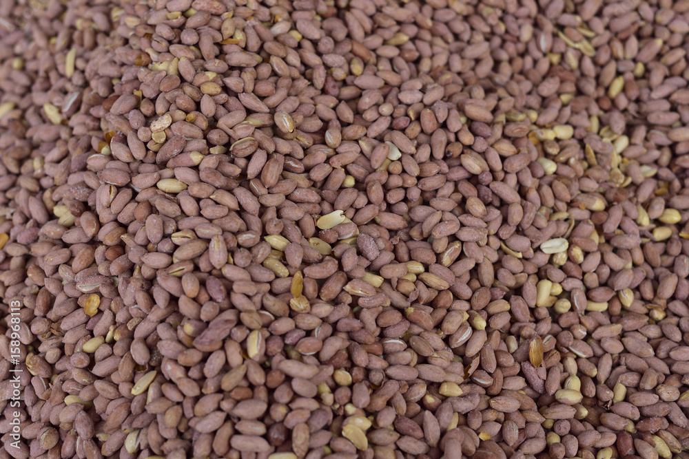 Peanut in a famous local bazaar in Gaziantep, Turkey. Peanut in a famous local bazaar in Gaziantep, Turkey.
