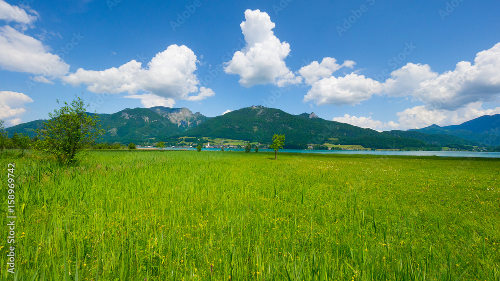 St. Wolfgang und der Wolfgangsee im Sommer St. Wolfgang und der Wolfgangsee im Sommer