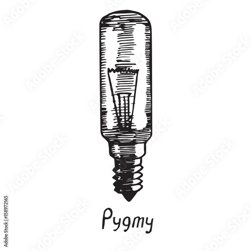 Pygmy lamp type, woodcut style design, hand drawn doodle, sketch in pop art style, isolated vector illustration