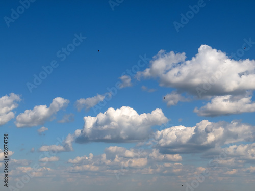 The flight of swallows in the clouds