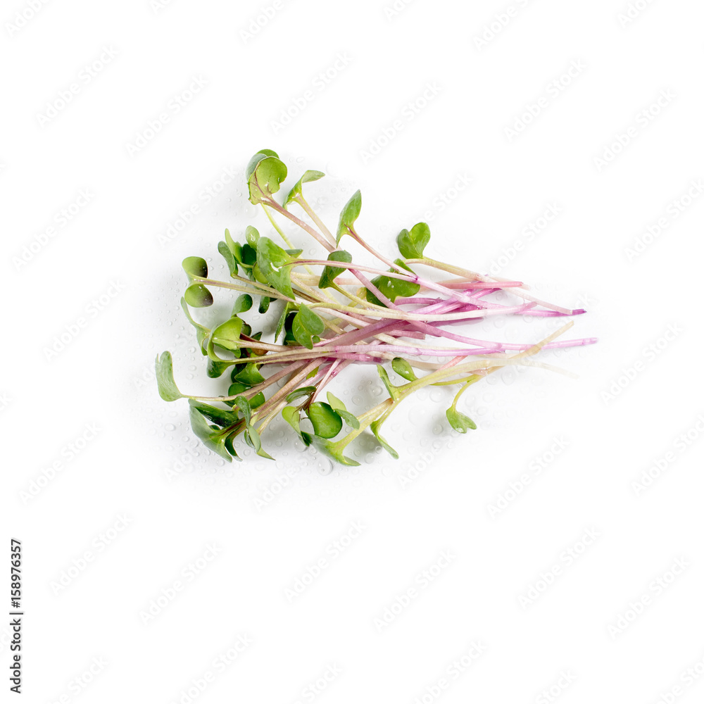 Obraz premium Heap of radish micro greens on white background. Healthy eating concept of fresh garden produce organically grown as a symbol of health and vitamins from nature. Microgreens closeup.