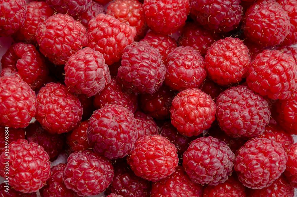 Red berry raspberries Red berry raspberries
