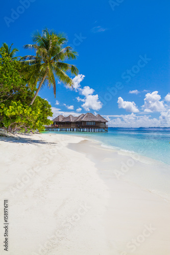 Perfect beach view. Summer holiday and vacation design. Inspirational tropical beach, palm trees and white sand. Tranquil scenery, relaxing beach, tropical landscape design. Moody landscape