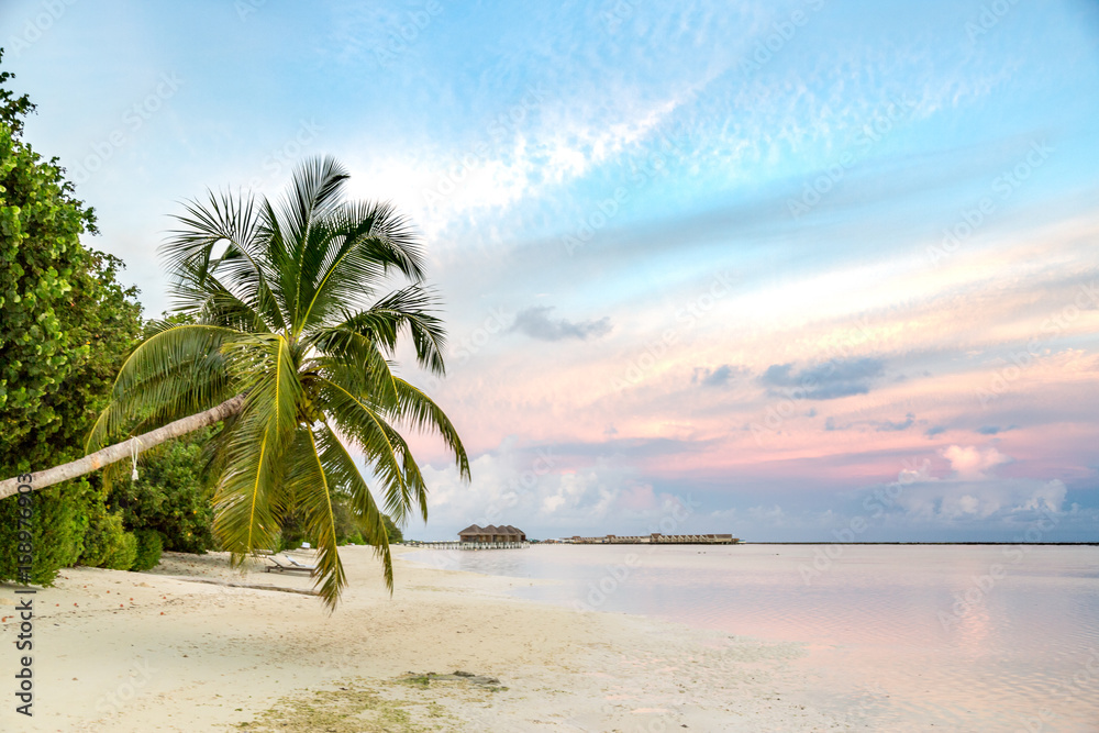 Fototapeta premium Perfect beach view. Summer holiday and vacation design. Inspirational tropical beach, palm trees and white sand. Tranquil scenery, relaxing beach, tropical landscape design. Moody landscape