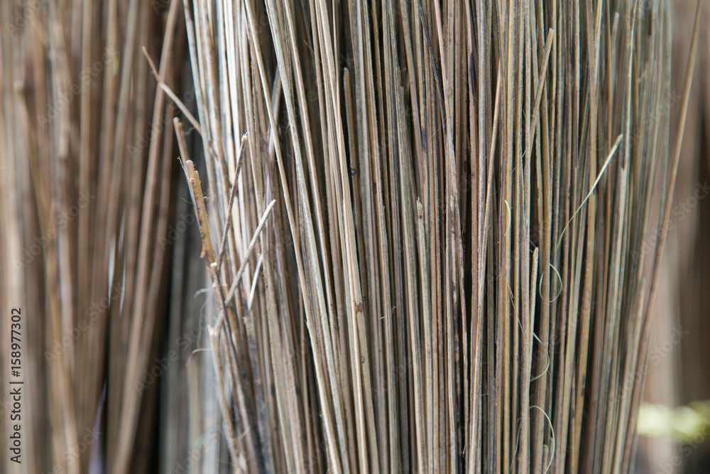 Close up Broom Close up Broom