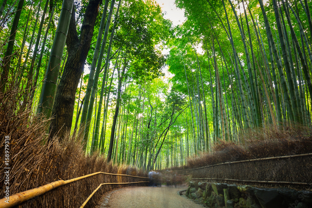 Bamboo forest of Arashiyama near Kyoto, Japan Bamboo forest of Arashiyama near Kyoto, Japan