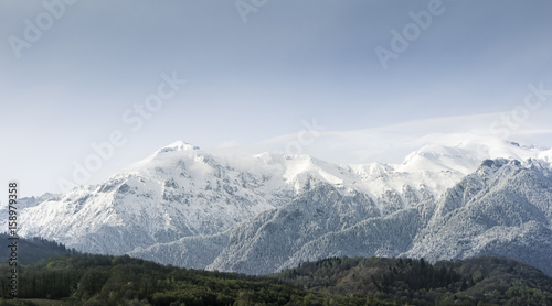 Mountain range with pine trees and snow