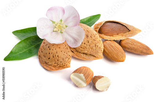 Paradise flower with almond nuts isolated on white background