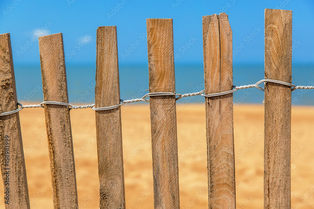 Palisades on sand beach near ocean. Private beach concept Palisades on sand beach near ocean. Private beach concept