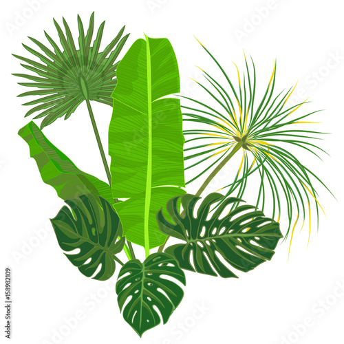 Hand drawn tropical palm leaves composition with jungle exotic flower on white background Botanical vector illustration
