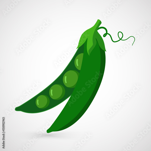Green Pea. Illustration of fresh green peas pod
