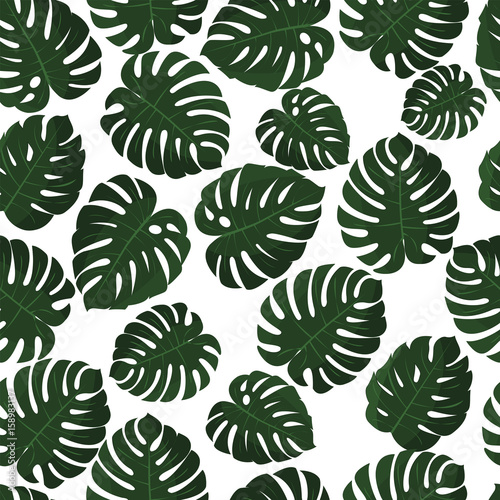 Tropical leaves. Vector. Seamless pattern in swatch. Monstera wallpaper. Exotic texture with greenery hawaiian leaf. Floral summer background. Jungle leaves. Trendy popular design.