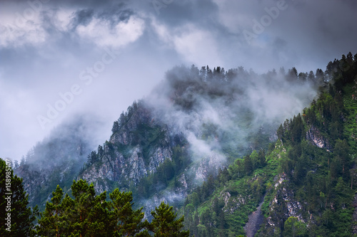 mountain peaks with forest in fog and clouds