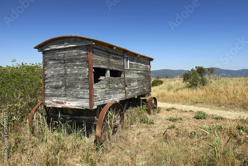 maremma