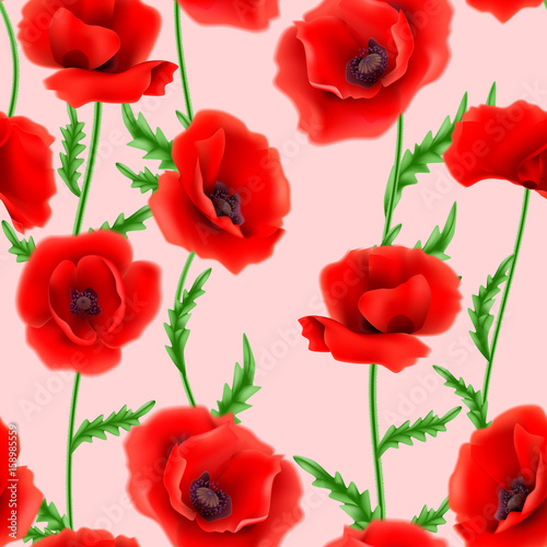 Seamless pattern with red poppy flowers