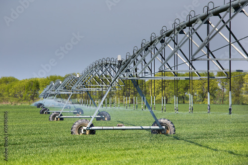 Irrigation system in wheat field photo