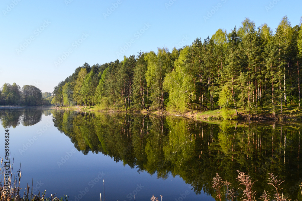 Forest and sky are reflected in the calm blue water of the forest lake. Early morning. Relax and silence