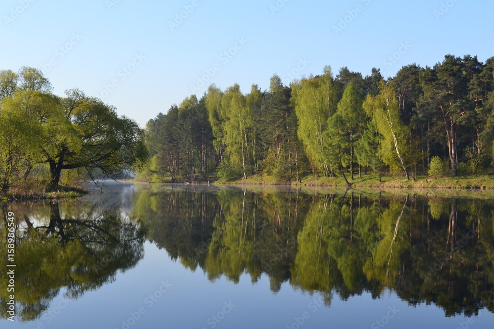Forest is reflected in the calm blue water of the forest lake. Early morning. Forest is reflected in the calm blue water of the forest lake. Early morning.