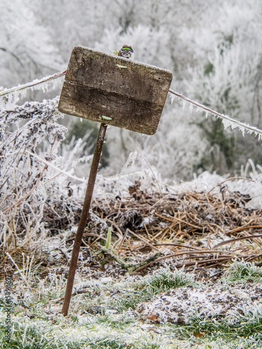 Holzschild zum Beschriften in eisiger Umgebung photo