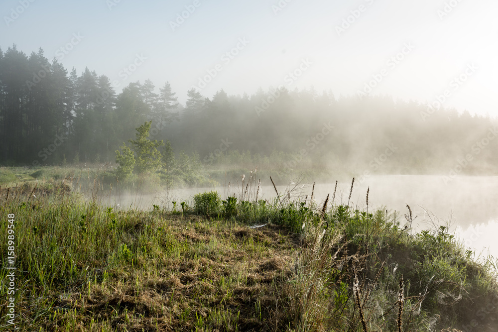 reflections in the lake water in the morning mist