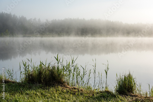 Fototapeta Naklejka Na Ścianę i Meble -  reflections in the lake water in the morning mist