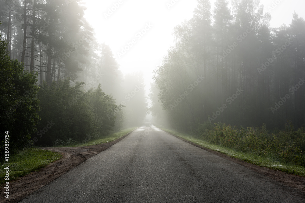 Fototapeta premium empty road in the countryside in summer