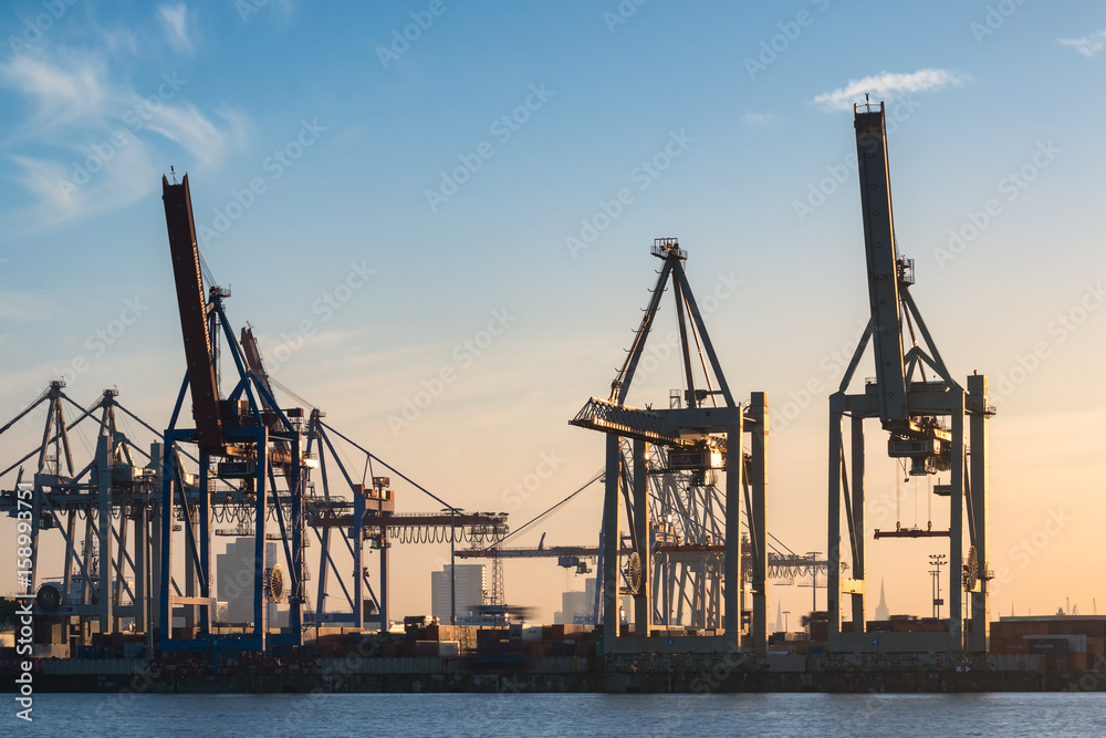 Container Port of Hamburg