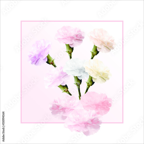 Flowers Roses elements - Róże kwiaty elementy
