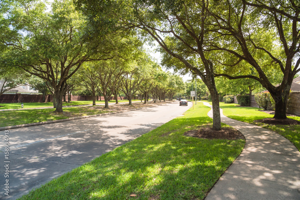 Side view of asphalt road, street in suburban residential area with lot of green trees in Katy, Texas, US. America is an excellent green and clean country. Environmental and transportation background. - obrazy, fototapety, plakaty 