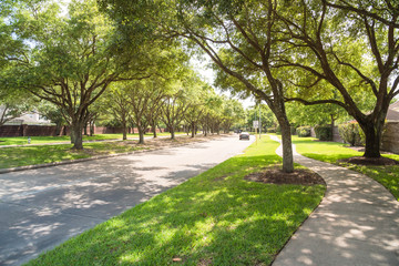 Side view of asphalt road, street in suburban residential area with lot of green trees in Katy, Texas, US. America is an excellent green and clean country. Environmental and transportation background.