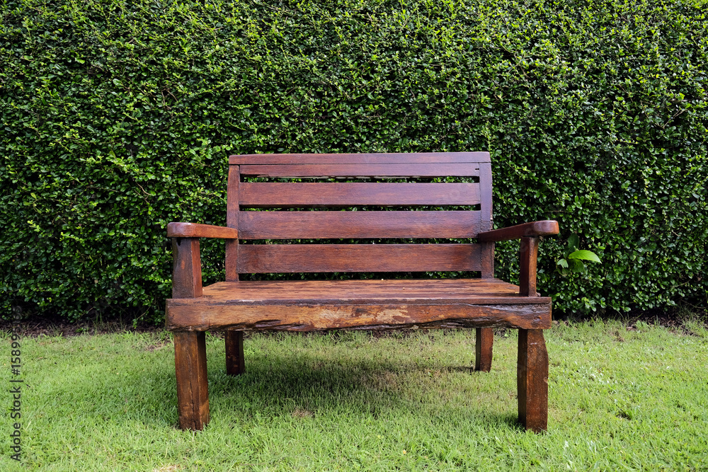 bench wood in outdoor garden