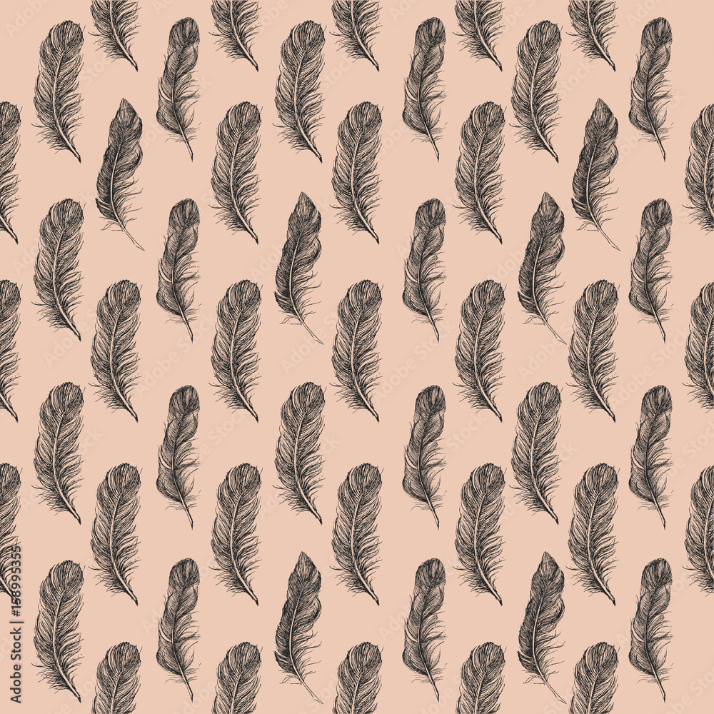 Feather Pattern Feather Pattern