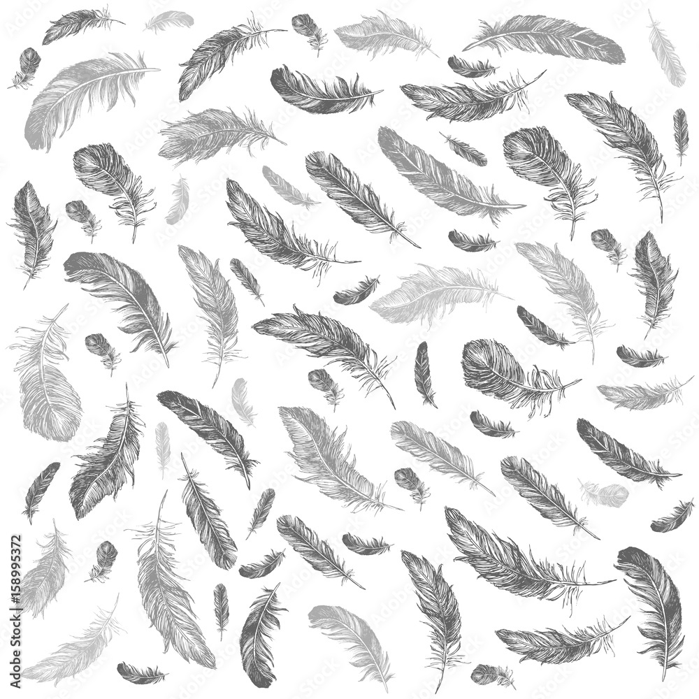 Feather Pattern Feather Pattern