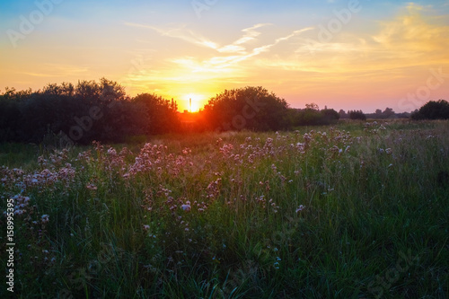 Sunset in countryside. Scenic colorful sky over rural meadow.
