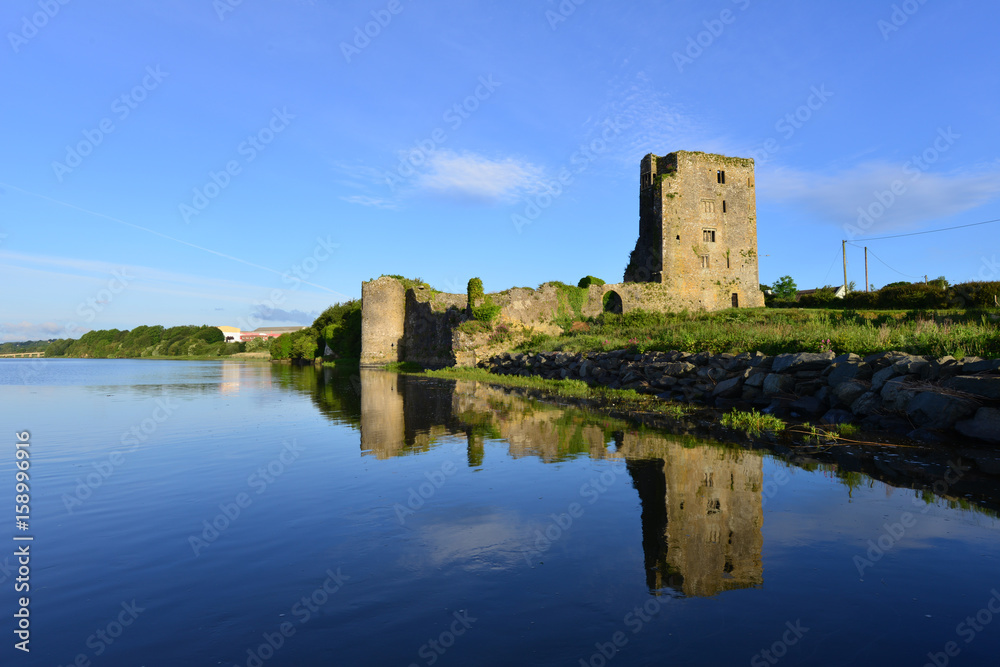 A castle in Ireland in the County of Kilkenny situated on the River Suir..