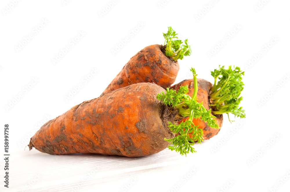 Fresh young carrots with a tops on a white background..
