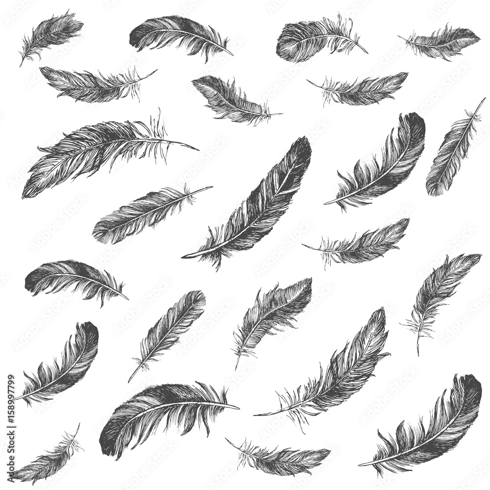 Feather Pattern