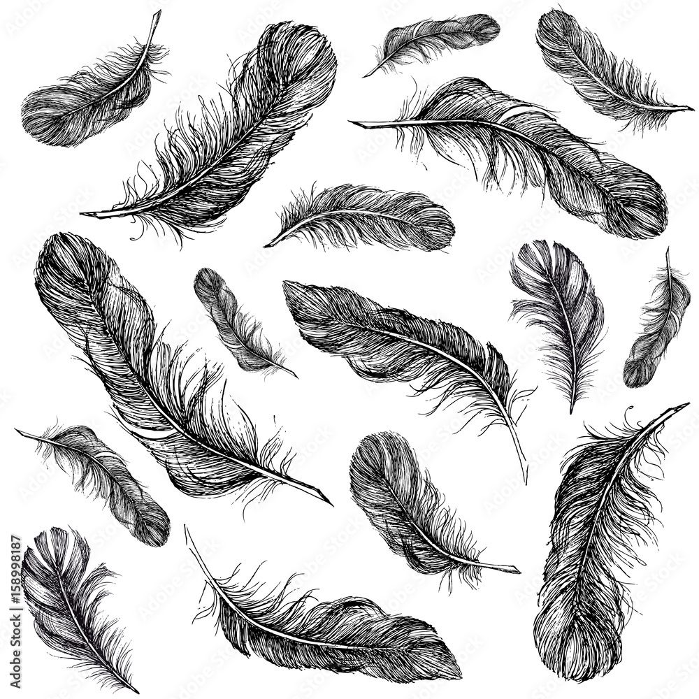 Feather Pattern