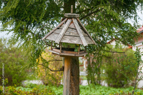 Bird box Bird houses and feeders in the park © tsirika