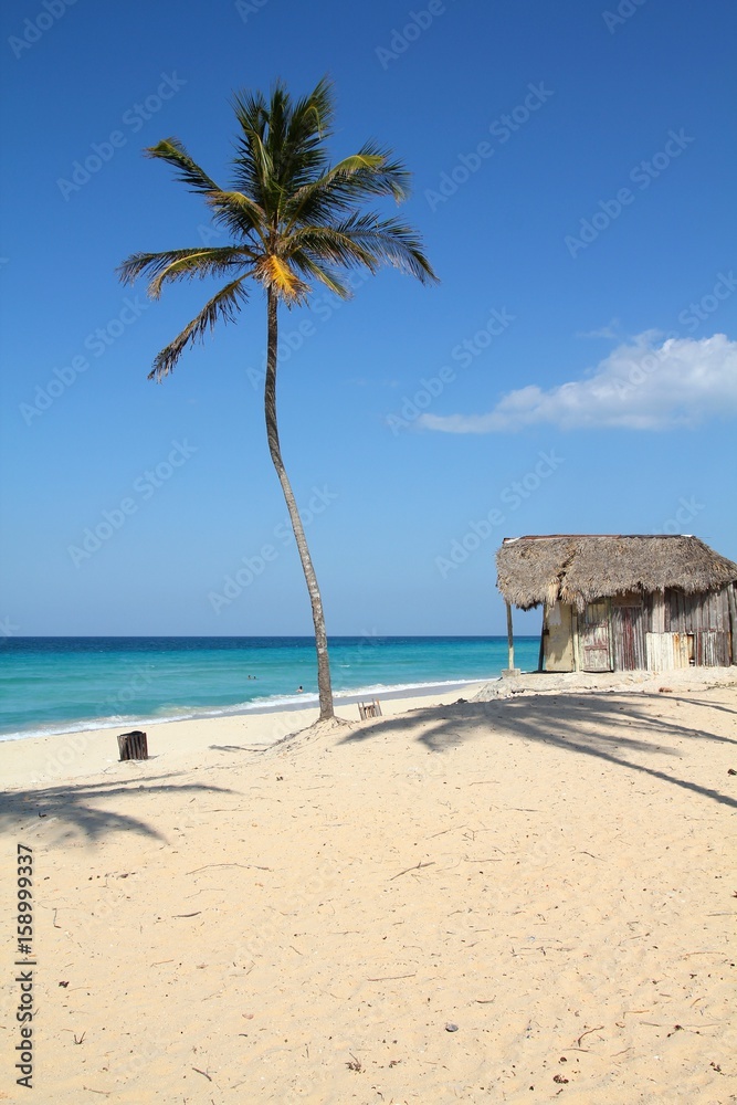 Fototapeta premium Cuban beach