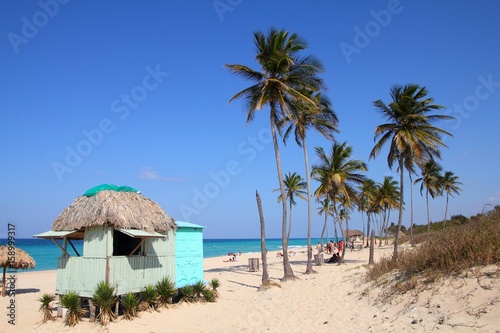 Photography Cuba beach palm trees
